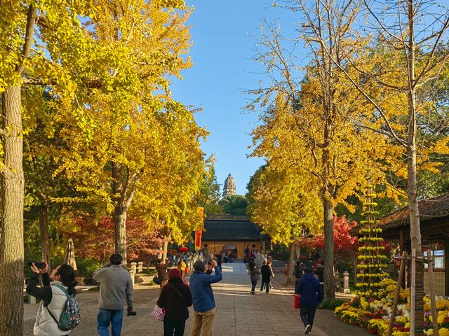 崑山2日遊：虎丘山、拙政園賞園林，周莊古鎮品水鄉