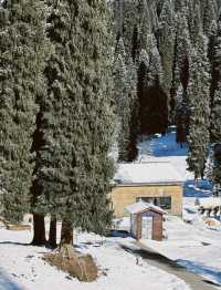 庫爾德寧自駕全攻略