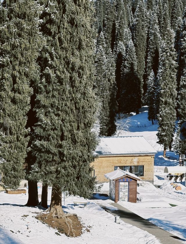 庫爾德寧自駕全攻略 庫爾德寧自駕全攻略