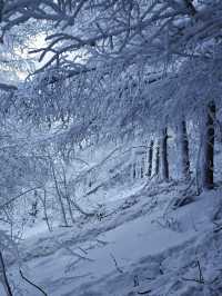 各位驢友，快來交換你們的樺皮嶺雪景圖|||樺皮嶺的
