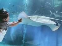 三亞帶娃必住泳池別墅