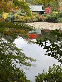 A More Balanced Kyoto Temple Experience