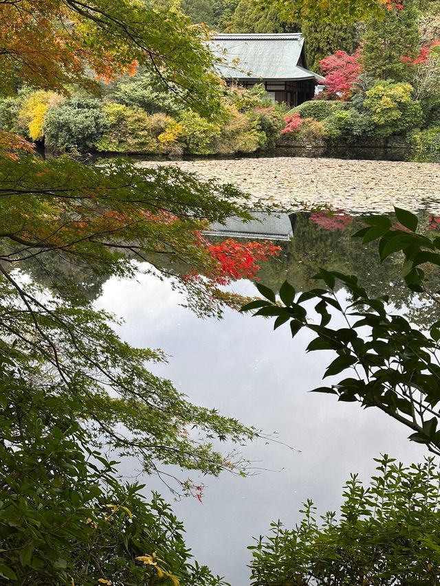 A More Balanced Kyoto Temple Experience