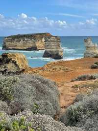 澳大利亞1日包車遊熱門景點全打卡