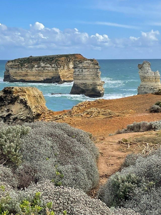 澳大利亞1日包車遊熱門景點全打卡
