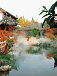 上海世博文化公園裡隱藏的寶藏園林!申園也太仙了叭~