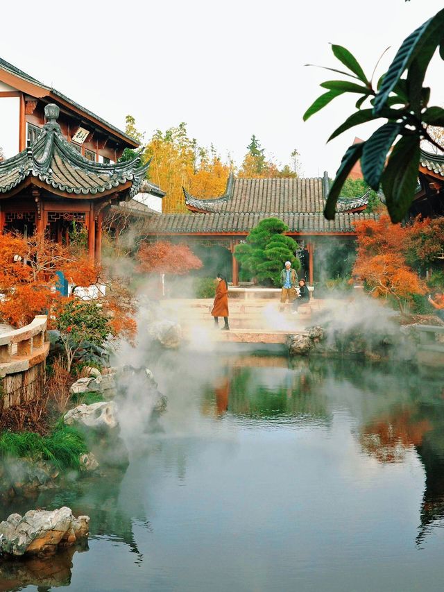 上海世博文化公園裡隱藏的寶藏園林!申園也太仙了叭~ 上海世博文化公園裡隱藏的寶藏園林!申園也太仙了叭~