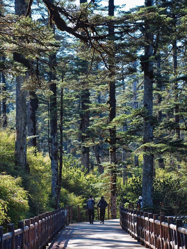 亞洲最大桌山瓦屋山雲海全攻略沒下雪也絕美 亞洲最大桌山瓦屋山雲海全攻略沒下雪也絕美