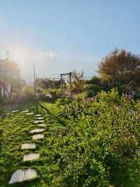 我要在這家民宿躺到天荒地老