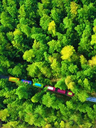 Niche Family Trip｜Accidentally Fell into a Nordic Fairy Tale