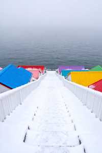 冬日威海旅行攻略:雪與海的極致浪漫