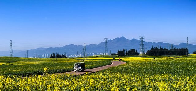 峰叢花田醉我心