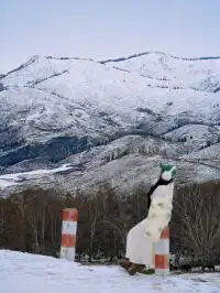 11.26實拍冬天的阿勒泰真的美到封神!!