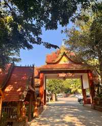 逃離寒冬！我在西雙版納過了一個25℃的夏天 