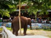 西雙版納原始森林公園