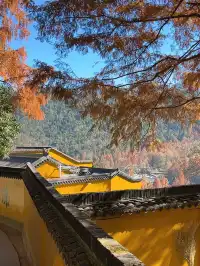 以深悲宏願照亮黑暗，以智慧恆心守護眾生