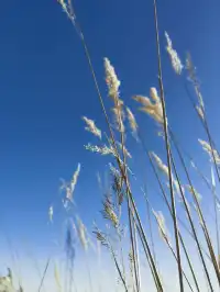 華山腳下！比神仙臺更驚豔的三仙臺