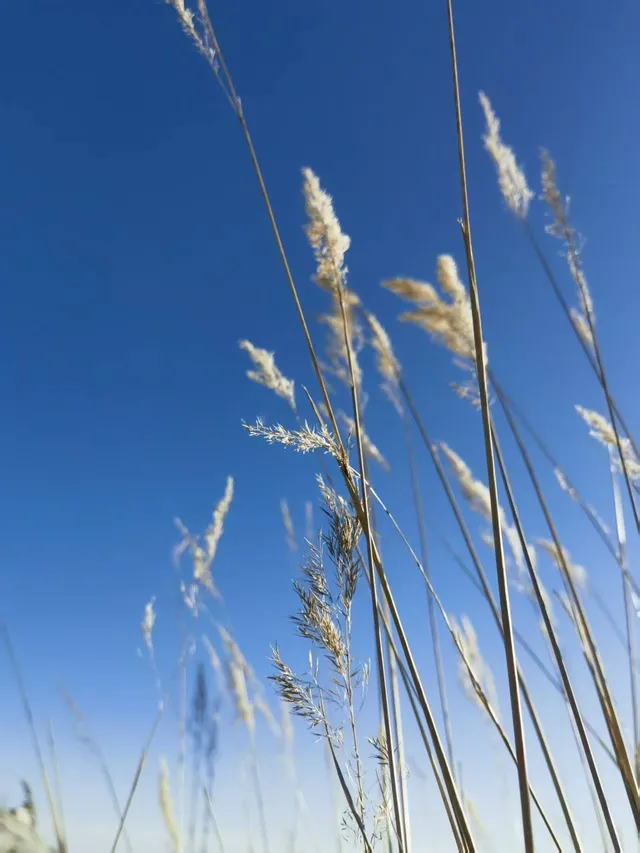 華山腳下！比神仙臺更驚豔的三仙臺