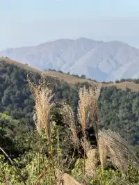 景美人少徒步徑｜梧桐寨+大帽山