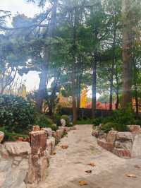 又一個公園透綠