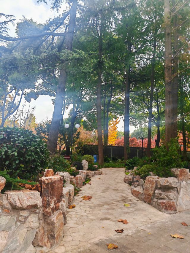 又一個公園透綠