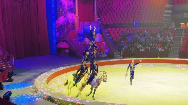 上海野生動物園暢玩一日遊 週六版