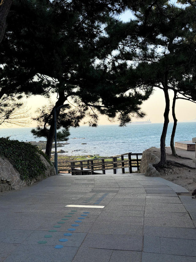 青島冬日Seawalk新路線太平角公園拍照攻略Get! 青島冬日Seawalk新路線太平角公園拍照攻略Get!