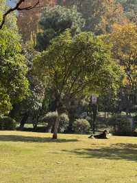 這裡不賣小商品｜「出售」最地道的義烏生活切片