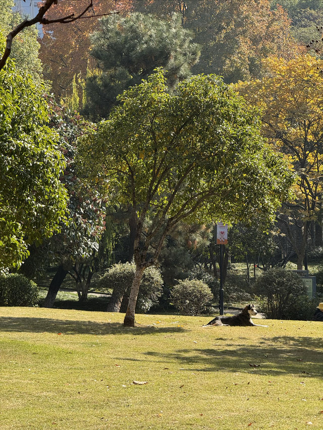 這裡不賣小商品｜「出售」最地道的義烏生活切片