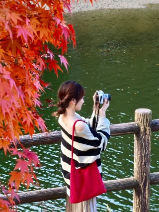Maple Leaves Turn Red at Jiufeng Village