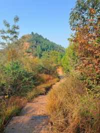 成都0.5h公交直達的秋日橘林徒步路線~#秋季去爬山南門