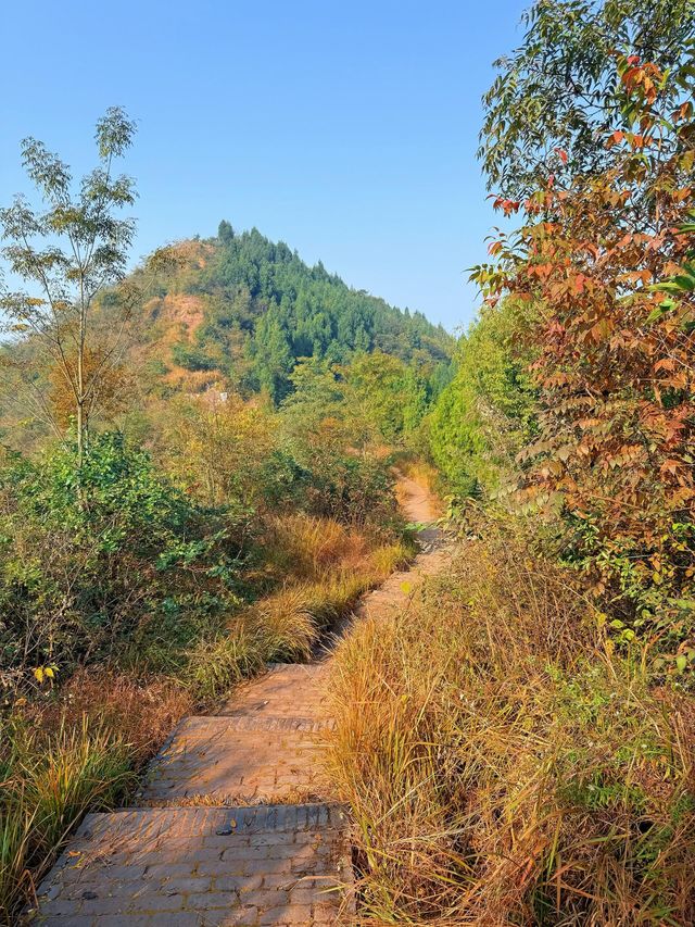 成都0.5h公交直達的秋日橘林徒步路線~#秋季去爬山南門 成都0.5h公交直達的秋日橘林徒步路線~#秋季去爬山南門