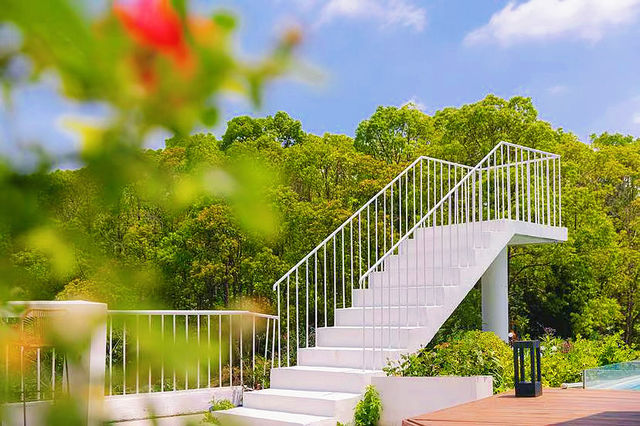 滬上森林秘境!迪士尼旁這家設計師酒店,遛娃拍照私藏宝地! 滬上森林秘境!迪士尼旁這家設計師酒店,遛娃拍照私藏宝地!