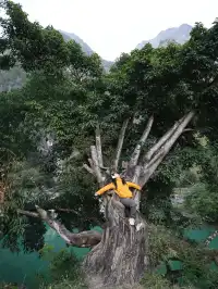 貴州暖冬秘境！比三亞便宜又好玩