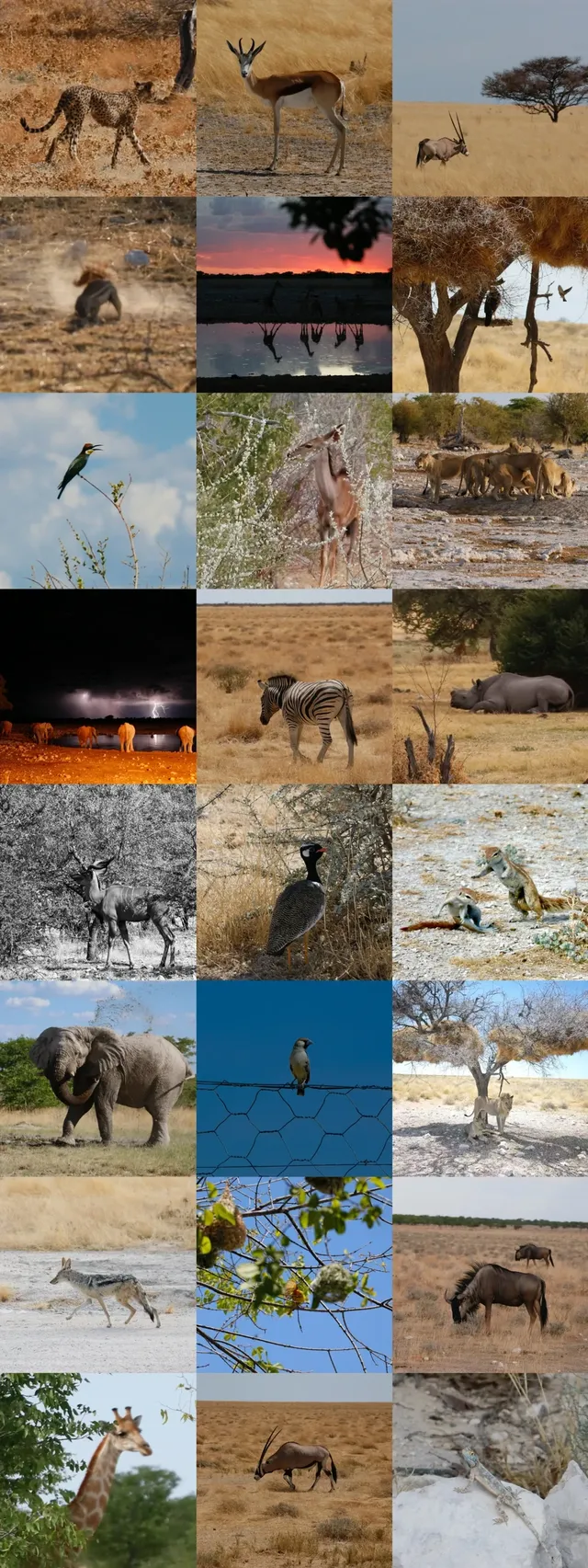 在非洲納米比亞9天全程幸福微醺