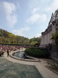 我在南京拍到了莫奈的睡蓮,想看看你拍的