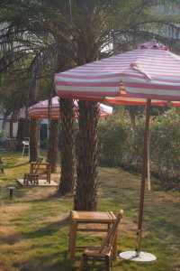 歲末，允許自己鬆弛地躺進十里畫廊的脈搏裡