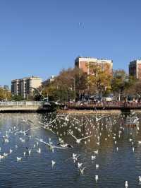 解鎖不撞款的暖冬浪漫