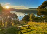 瑞士格林德瓦攻略|住進明信片裡的童話小鎮