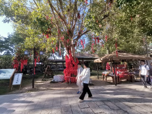 古建氧吧水月宮