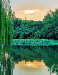 合肥私藏City walk路線 暢行霸都