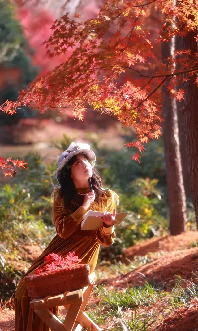 你在人潮擁擠的西湖邊,我在花開海上紅楓自由自在 你在人潮擁擠的西湖邊,我在花開海上紅楓自由自在