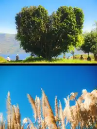 浪漫是大理的常態🩵