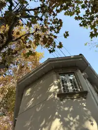 武康路聖誕CityWalk出片逛吃，不走回頭路