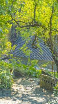 佛山三水長岐古村拍照,這裡的煙火氣和日落氛圍絕美