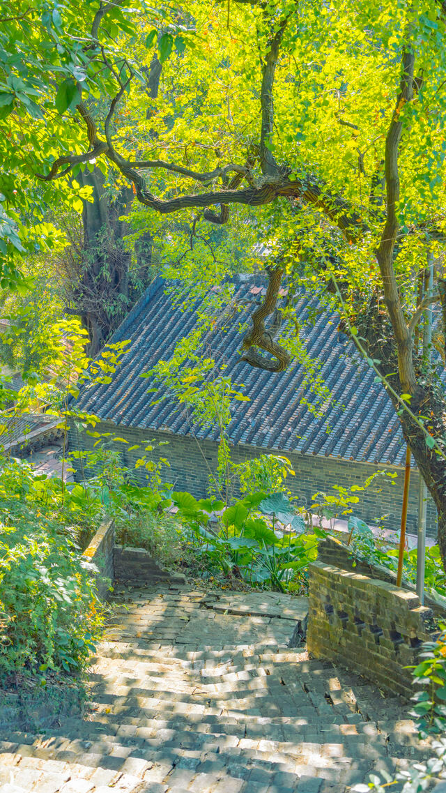 佛山三水長岐古村拍照,這裡的煙火氣和日落氛圍絕美 佛山三水長岐古村拍照,這裡的煙火氣和日落氛圍絕美