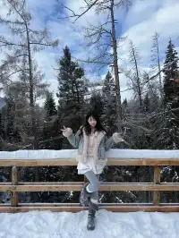 喀納斯冬季旅行攻略看這個就夠了