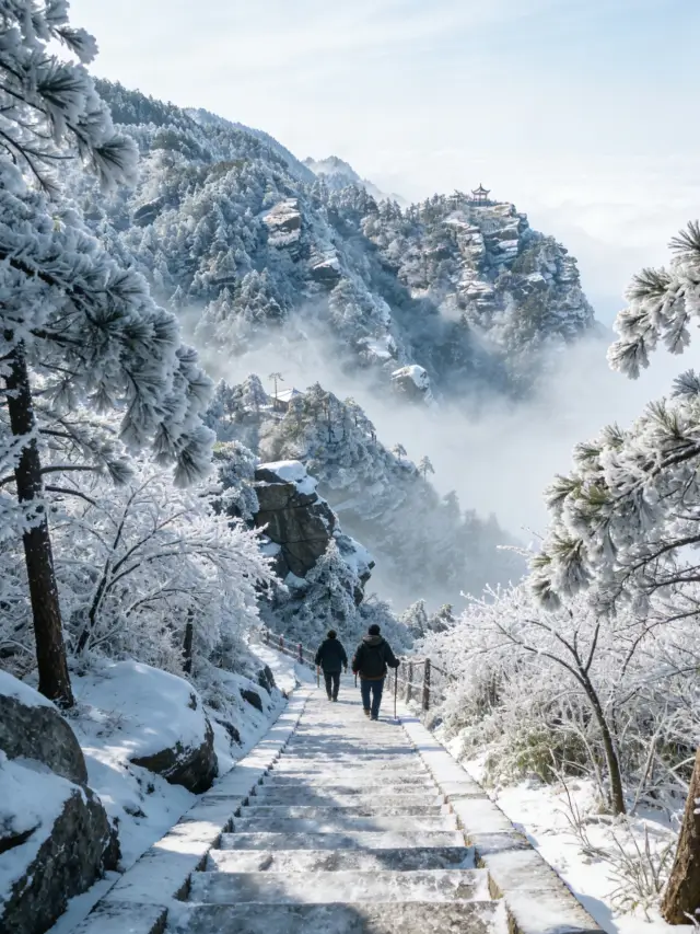 12.25 Live Report from Bipenggou, Already Overwhelmed