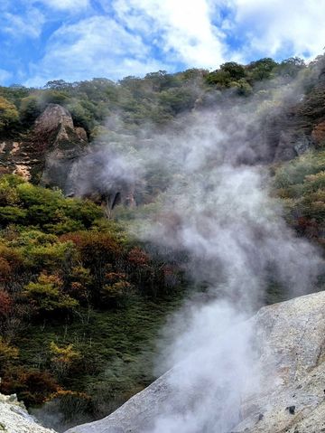 春節超適合去日本了不去後悔