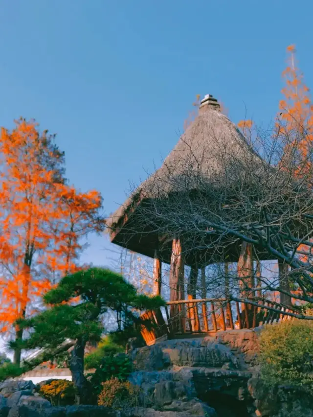 Magic City’s Green Wonderland! Complete Guide to Shanghai Botanical Garden Check-in